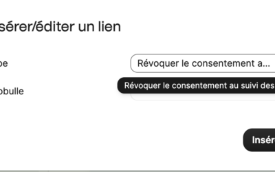 Pixel de suivi dans les newsletters, exemple avec Brevo
